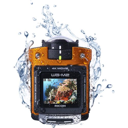 Xem ảnh gốc
